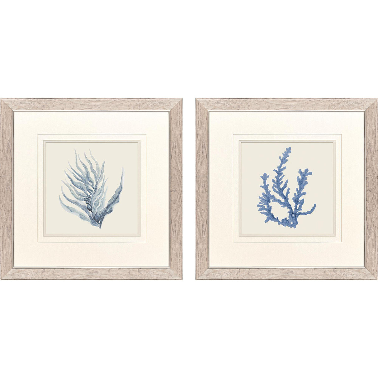 Paragon Blue Corals II S/2 Blue 23 X 23 X 1 Wall Art