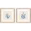 Paragon Blue Corals II S/2 Blue 23 X 23 X 1 Wall Art