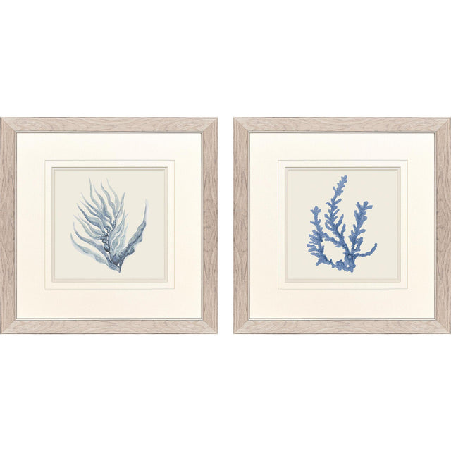 Paragon Blue Corals II S/2 Blue 23 X 23 X 1 Wall Art