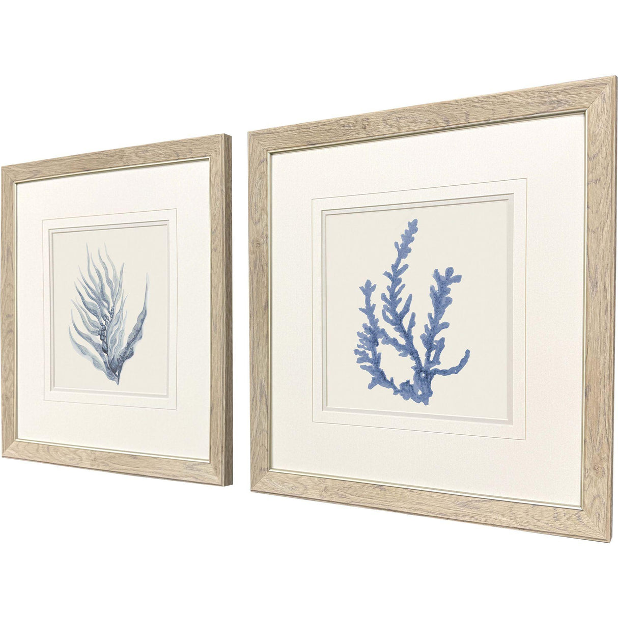 Paragon Blue Corals II S/2 Blue 23 X 23 X 1 Wall Art