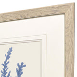 Paragon Blue Corals II S/2 Blue 23 X 23 X 1 Wall Art