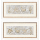 Paragon Drawing Sea Creatures S/2 Gray 16 X 32 X 2 Wall Art