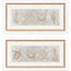 Paragon Drawing Sea Creatures S/2 Gray 16 X 32 X 2 Wall Art