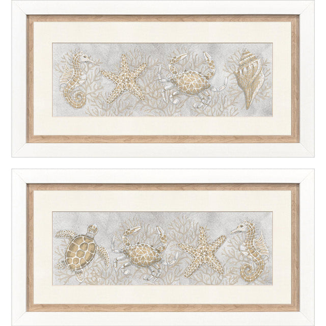 Paragon Drawing Sea Creatures S/2 Gray 16 X 32 X 2 Wall Art