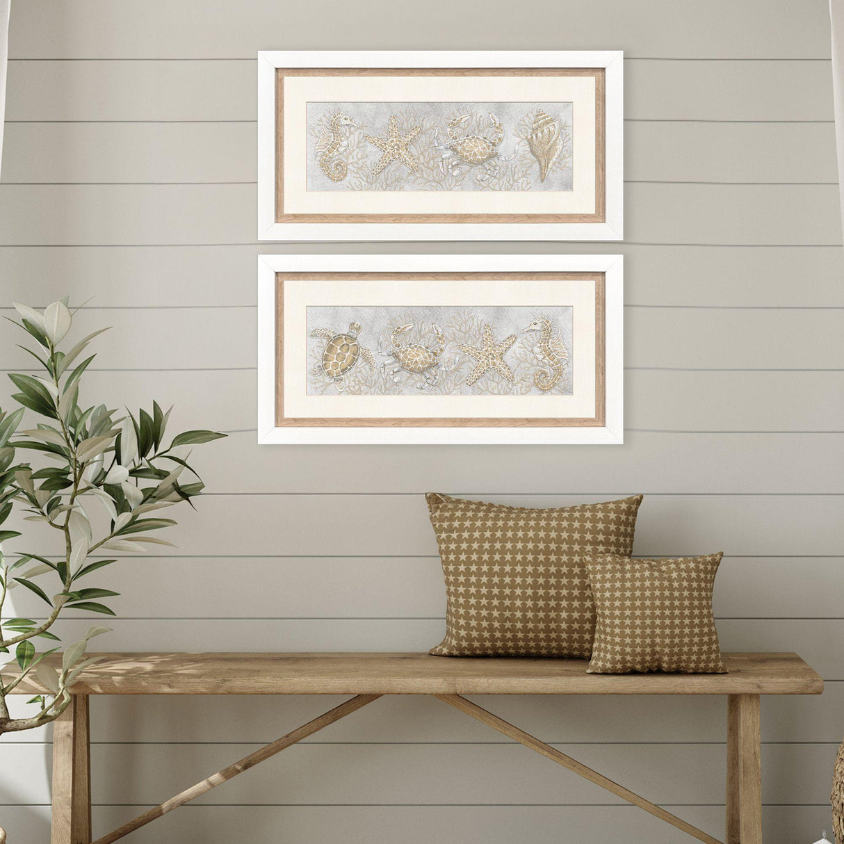 Paragon Drawing Sea Creatures S/2 Gray 16 X 32 X 2 Wall Art