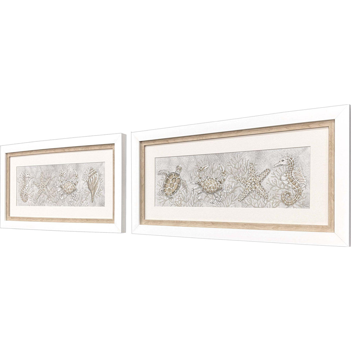 Paragon Drawing Sea Creatures S/2 Gray 16 X 32 X 2 Wall Art