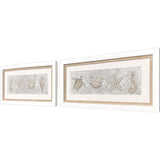 Paragon Drawing Sea Creatures S/2 Gray 16 X 32 X 2 Wall Art