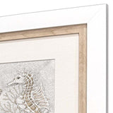Paragon Drawing Sea Creatures S/2 Gray 16 X 32 X 2 Wall Art