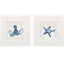 Paragon Indigo Sealife I S/2 Blue 27 X 27 X 2 Wall Art