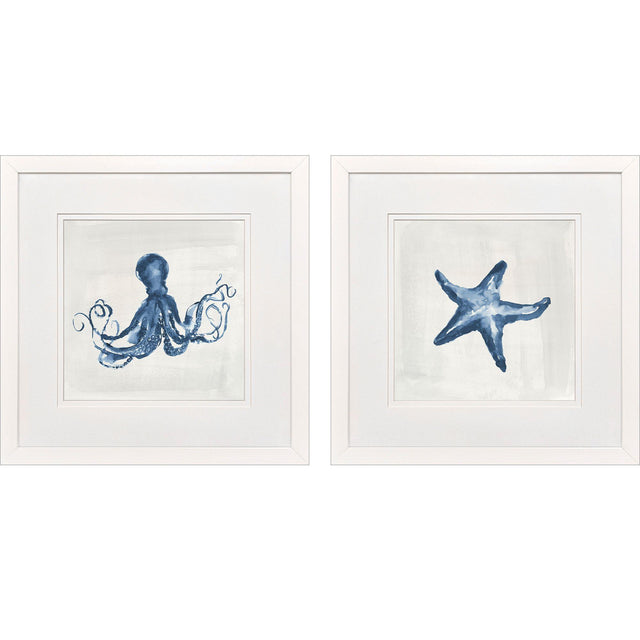 Paragon Indigo Sealife I S/2 Blue 27 X 27 X 2 Wall Art
