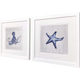 Paragon Indigo Sealife I S/2 Blue 27 X 27 X 2 Wall Art