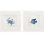 Paragon Indigo Sealife II S/2 Blue 27 X 27 X 2 Wall Art