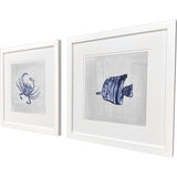 Paragon Indigo Sealife II S/2 Blue 27 X 27 X 2 Wall Art