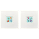 Paragon Happy Seashells S/2 Blue 17 X 17 X 2 Wall Art