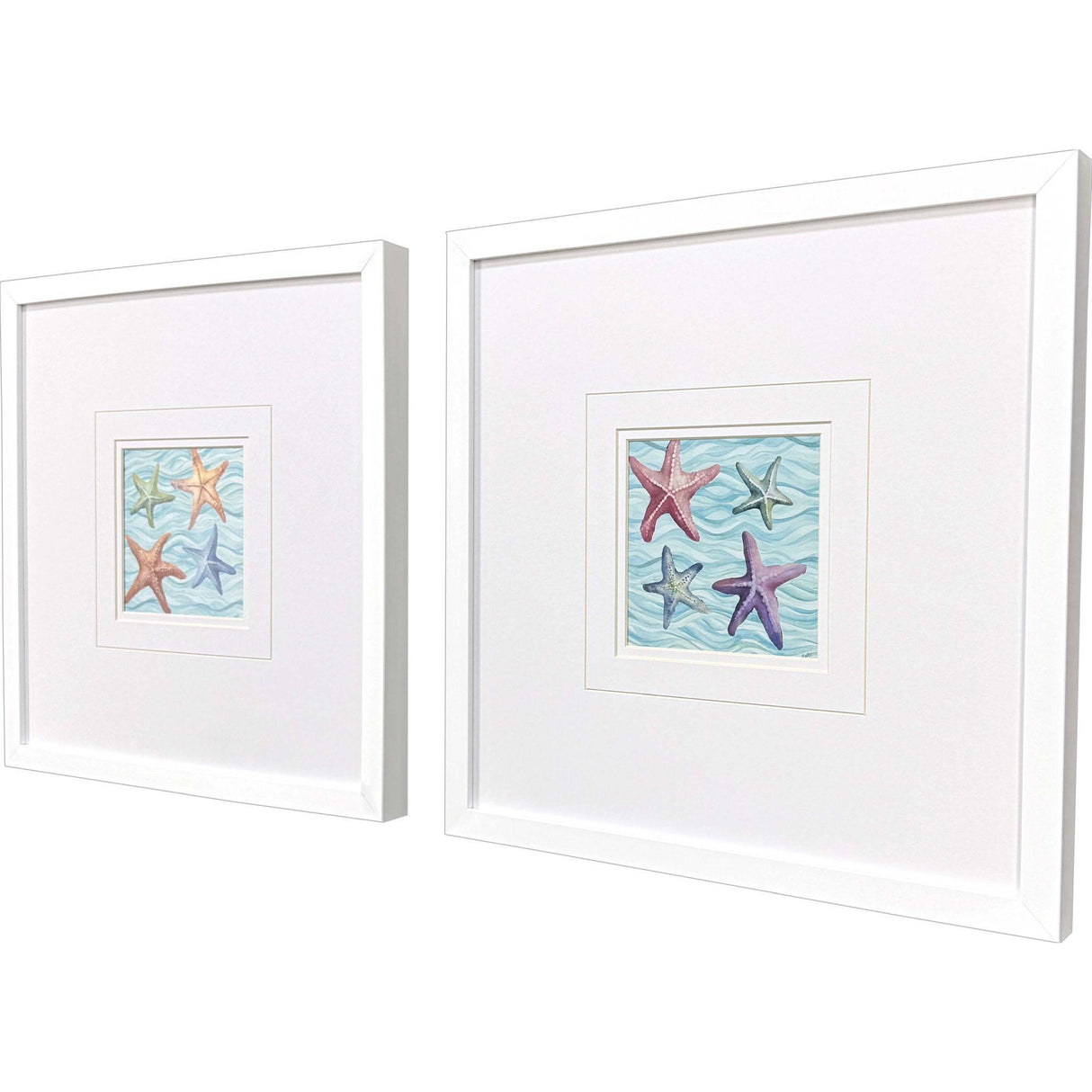 Paragon Happy Seashells S/2 Blue 17 X 17 X 2 Wall Art