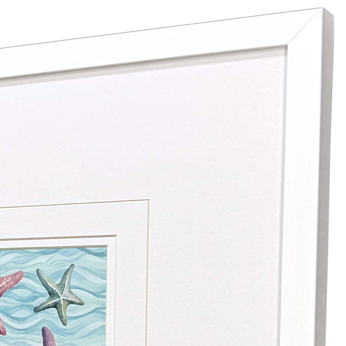 Paragon Happy Seashells S/2 Blue 17 X 17 X 2 Wall Art
