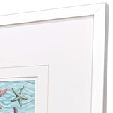 Paragon Happy Seashells S/2 Blue 17 X 17 X 2 Wall Art