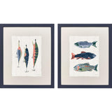Paragon Catch of the Day S/2 Blue 24 X 20 X 1 Wall Art