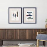 Paragon Catch of the Day S/2 Blue 24 X 20 X 1 Wall Art