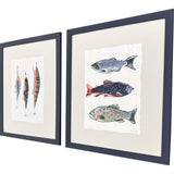 Paragon Catch of the Day S/2 Blue 24 X 20 X 1 Wall Art