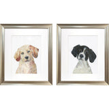 Paragon Puppy Eyes S/2 Black 22 X 19 X 1 Wall Art