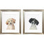 Paragon Puppy Eyes S/2 Black 22 X 19 X 1 Wall Art
