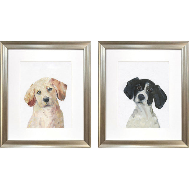 Paragon Puppy Eyes S/2 Black 22 X 19 X 1 Wall Art