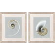Paragon Neutral Nautilus I S/2 Gray 29 X 25 X 1 Wall Art