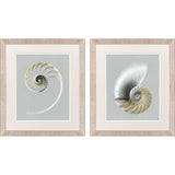 Paragon Neutral Nautilus I S/2 Gray 29 X 25 X 1 Wall Art
