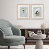 Paragon Neutral Nautilus I S/2 Gray 29 X 25 X 1 Wall Art