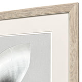 Paragon Neutral Nautilus I S/2 Gray 29 X 25 X 1 Wall Art