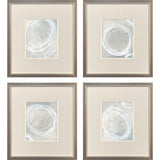 Paragon Keep Moving S/4 Gray 19 X 17 X 1 Wall Art