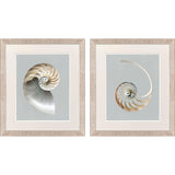 Paragon Neutral Nautilus II S/2 Gray 29 X 25 X 1 Wall Art