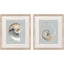 Paragon Neutral Nautilus II S/2 Gray 29 X 25 X 1 Wall Art