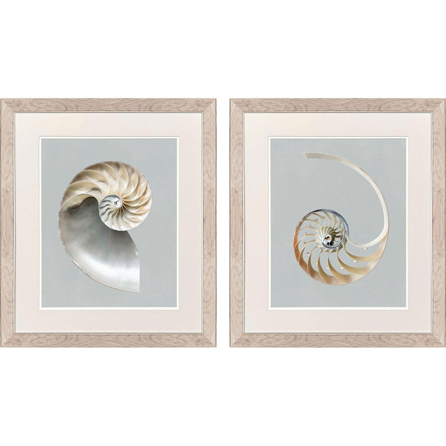 Paragon Neutral Nautilus II S/2 Gray 29 X 25 X 1 Wall Art