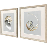 Paragon Neutral Nautilus II S/2 Gray 29 X 25 X 1 Wall Art