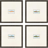 Paragon Trout S/4 Multi 17 X 17 X 1 Wall Art