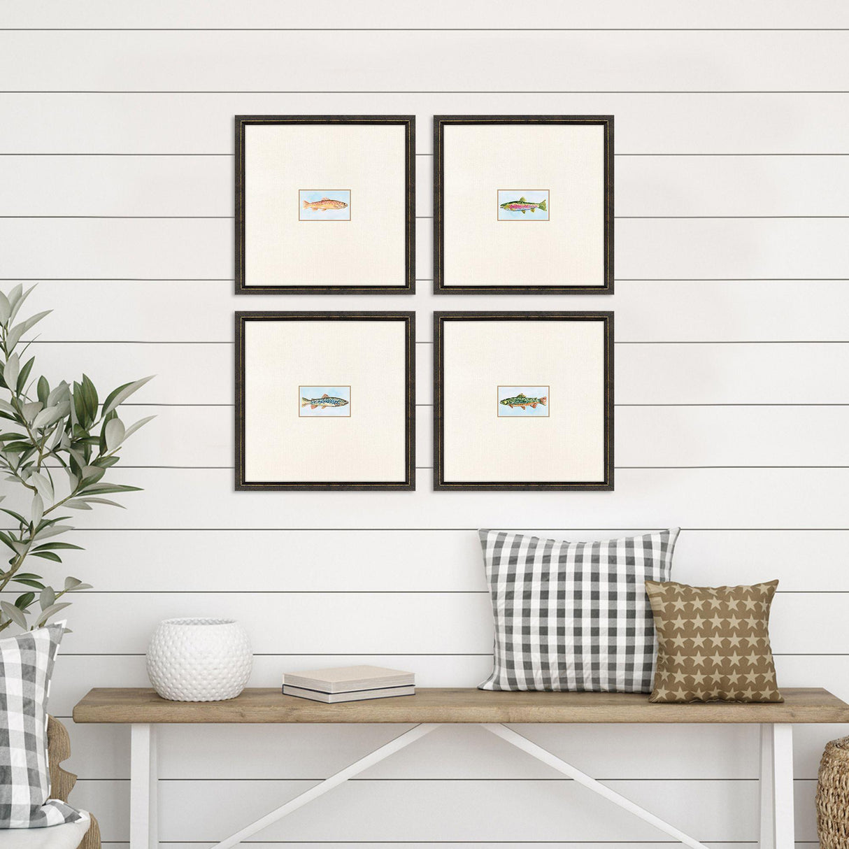 Paragon Trout S/4 Multi 17 X 17 X 1 Wall Art