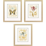 Paragon Nature's Wonder I S/3 Yellow 21 X 18 X 1 Wall Art