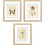 Paragon Nature's Wonder I S/3 Yellow 21 X 18 X 1 Wall Art