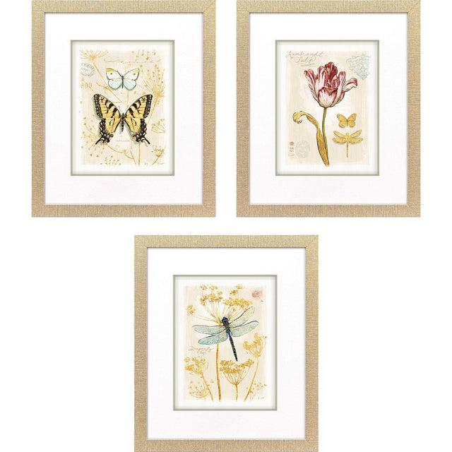 Paragon Nature's Wonder I S/3 Yellow 21 X 18 X 1 Wall Art