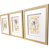 Paragon Nature's Wonder I S/3 Yellow 21 X 18 X 1 Wall Art