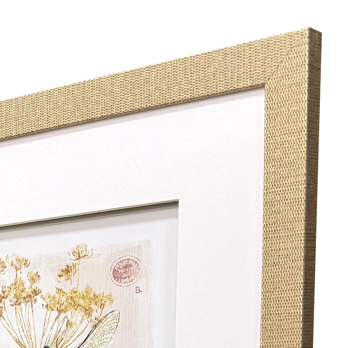 Paragon Nature's Wonder I S/3 Yellow 21 X 18 X 1 Wall Art