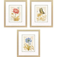 Paragon Nature's Wonder II S/3 Yellow 21 X 18 X 1 Wall Art