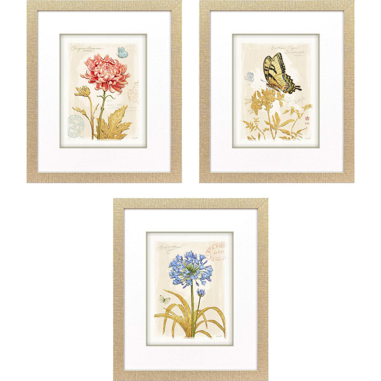 Paragon Nature's Wonder II S/3 Yellow 21 X 18 X 1 Wall Art