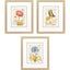Paragon Nature's Wonder II S/3 Yellow 21 X 18 X 1 Wall Art