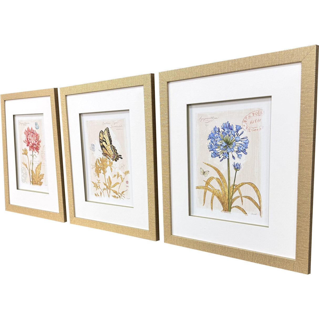 Paragon Nature's Wonder II S/3 Yellow 21 X 18 X 1 Wall Art