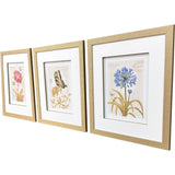 Paragon Nature's Wonder II S/3 Yellow 21 X 18 X 1 Wall Art