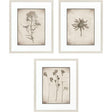 Paragon Wildflower Stems I S/3 Brown 23 X 19 X 1 Wall Art
