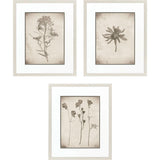 Paragon Wildflower Stems I S/3 Brown 23 X 19 X 1 Wall Art